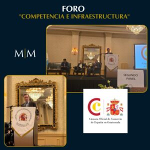 Read more about the article Ponencia Dr. Eduardo A. Mayora – Panel Ley de la Competencia