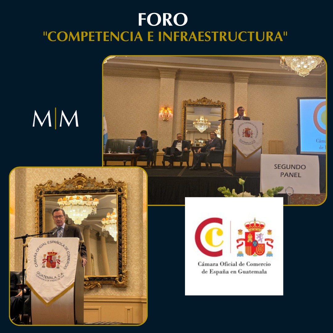 You are currently viewing Ponencia Dr. Eduardo A. Mayora – Panel Ley de la Competencia