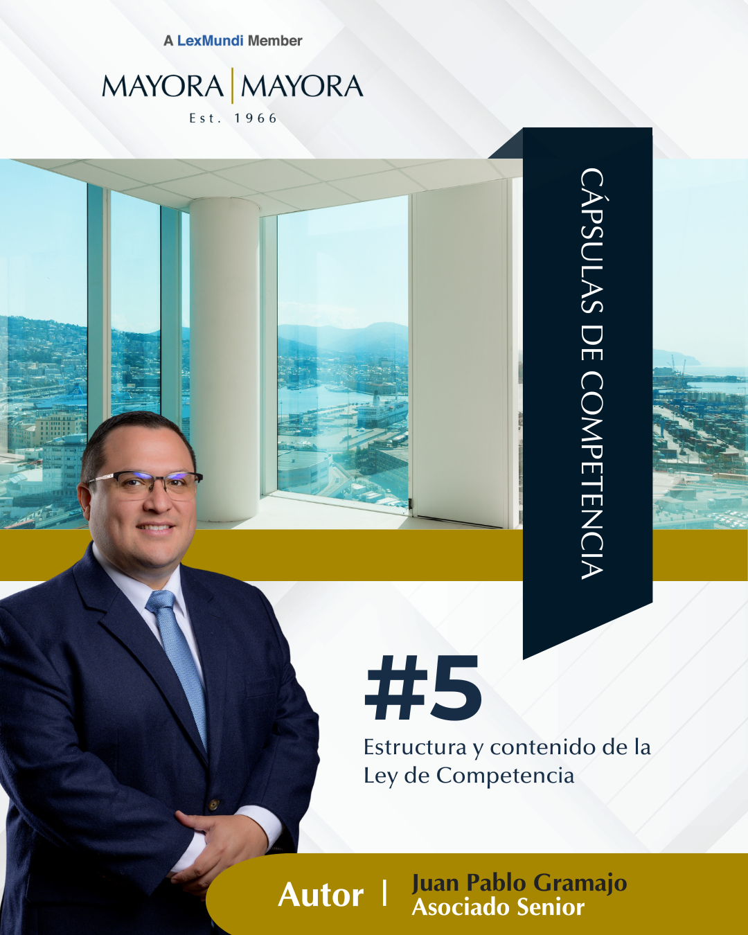 Read more about the article Estructura y contenido de la Ley de Competencia