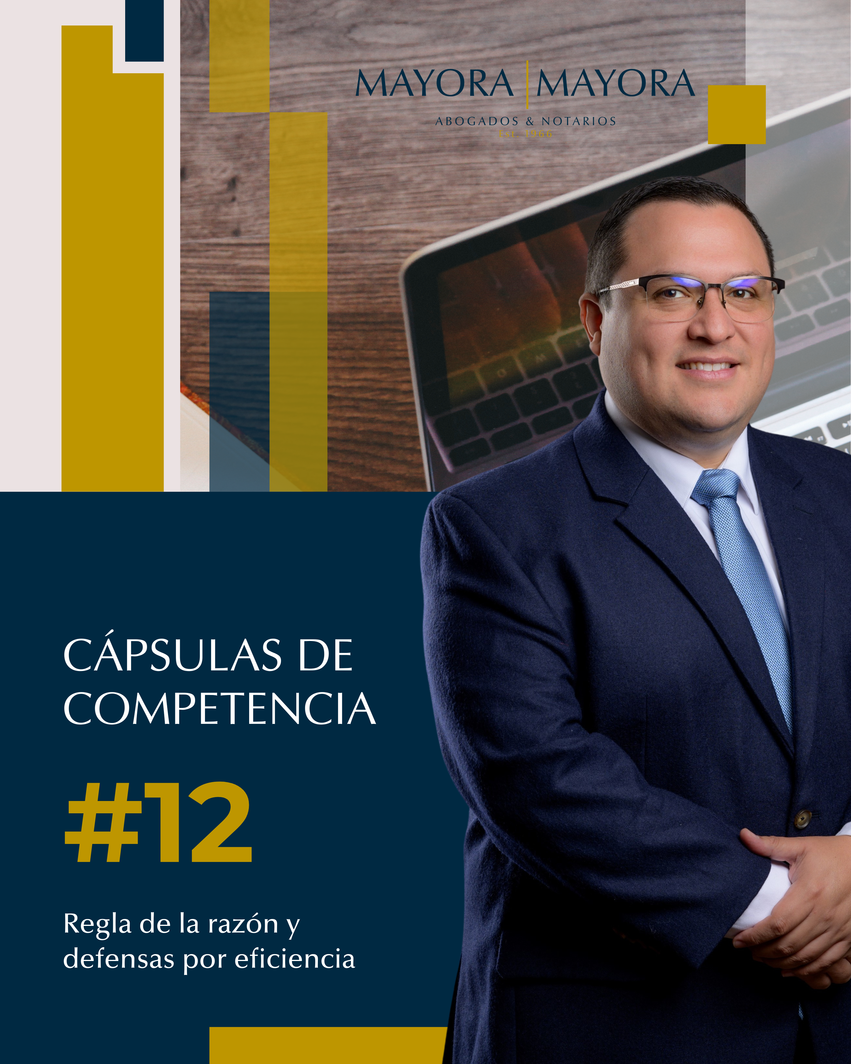 Read more about the article Regla de la razón y defensas por eficiencia