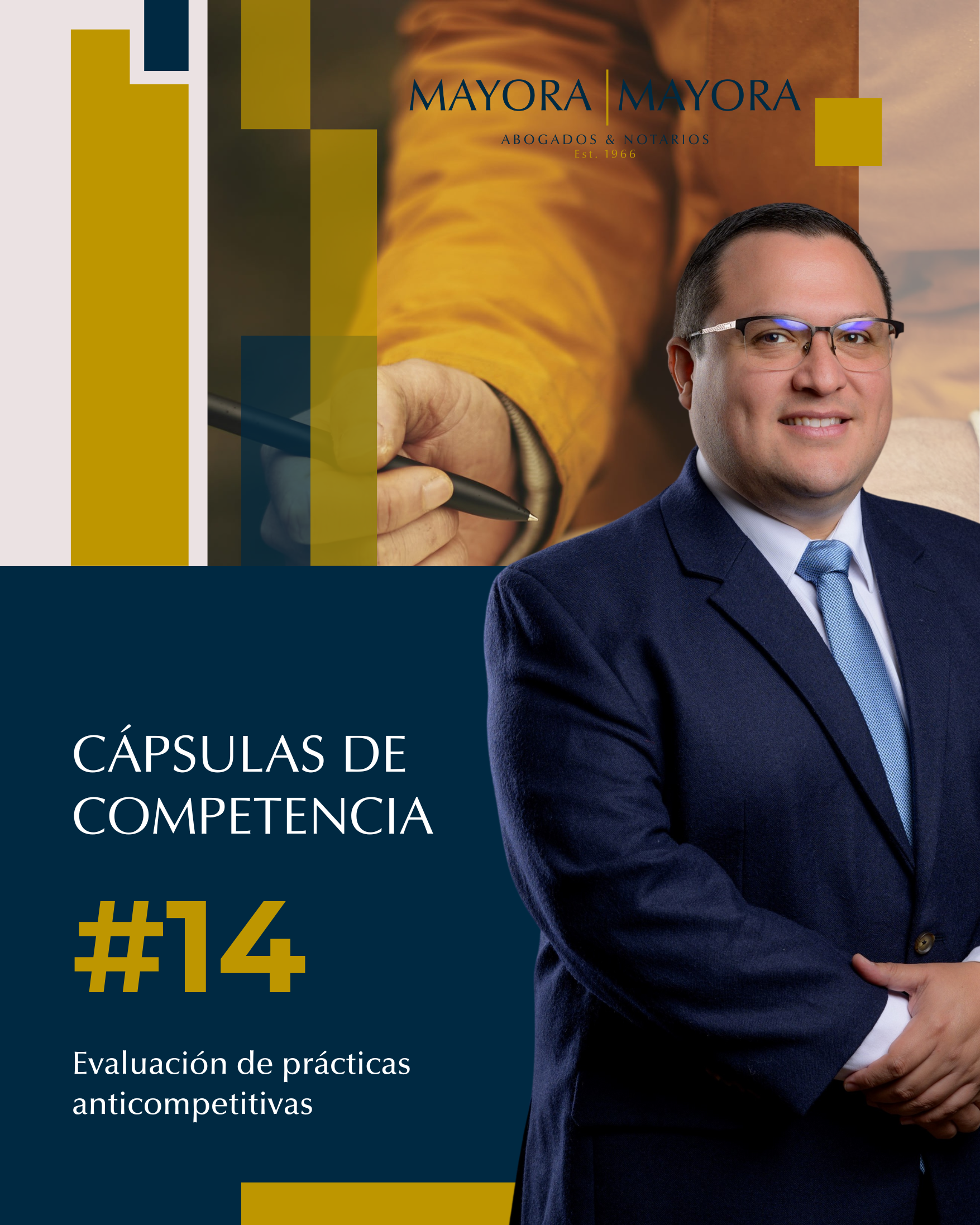 Read more about the article Evaluación de prácticas anticompetitivas