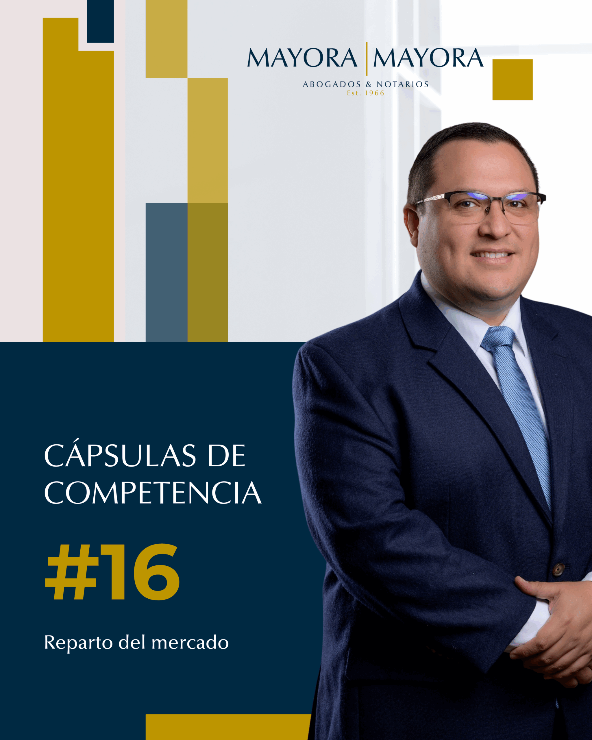 Read more about the article Práctica absoluta: Reparto del mercado